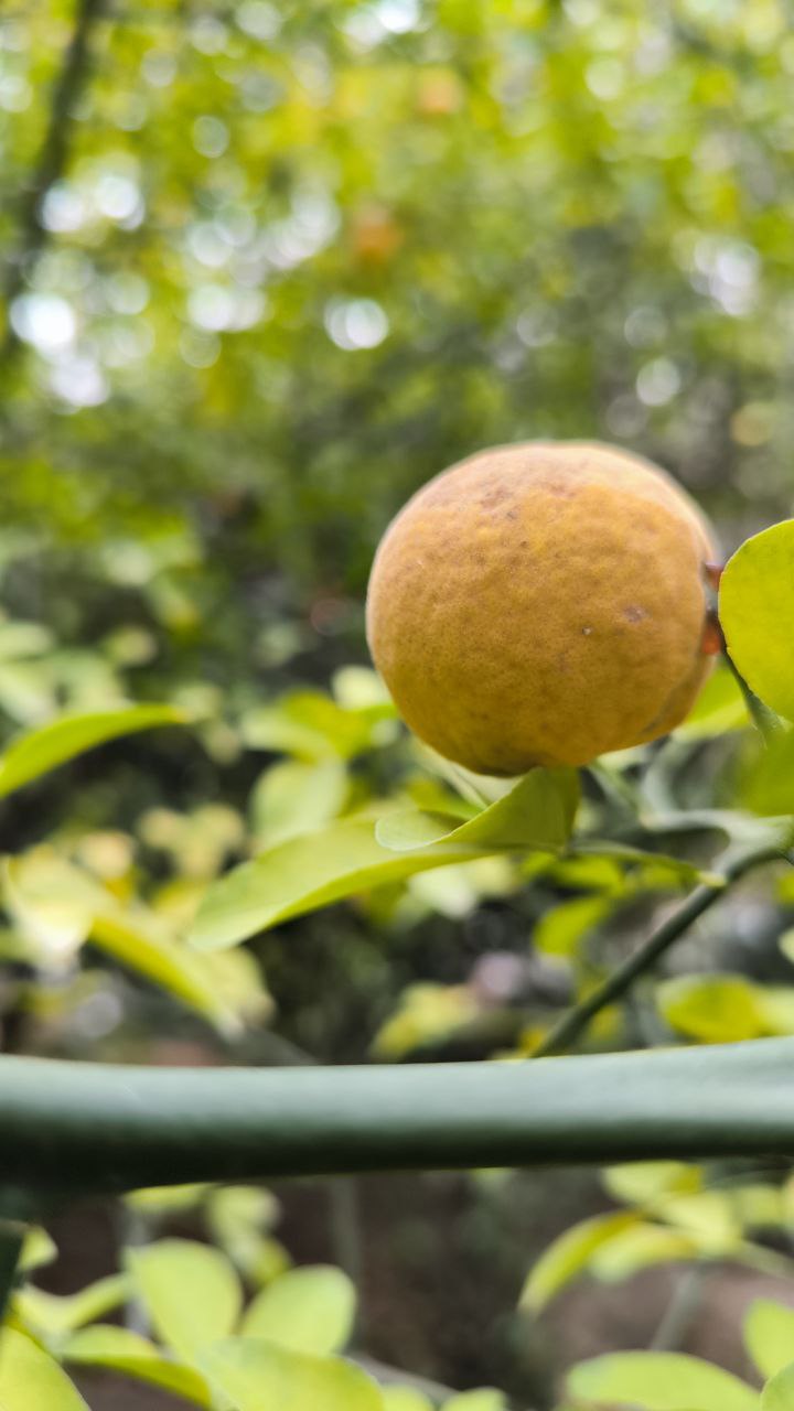 college_of_agriculture_natural_resources_of_university_of_tehran