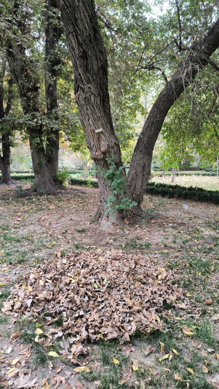 college_of_agriculture_natural_resources_of_university_of_tehran