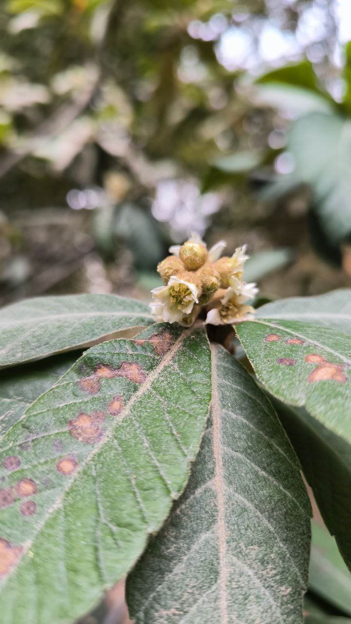 college_of_agriculture_natural_resources_of_university_of_tehran