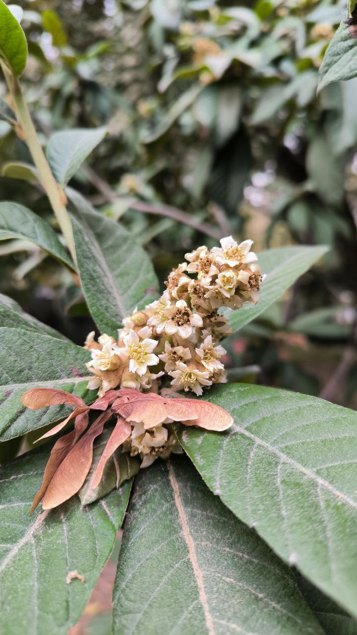 college_of_agriculture_natural_resources_of_university_of_tehran