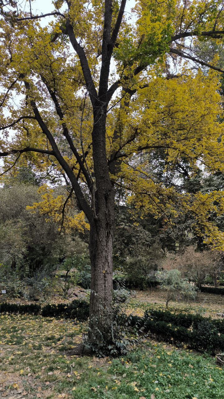 college_of_agriculture_natural_resources_of_university_of_tehran