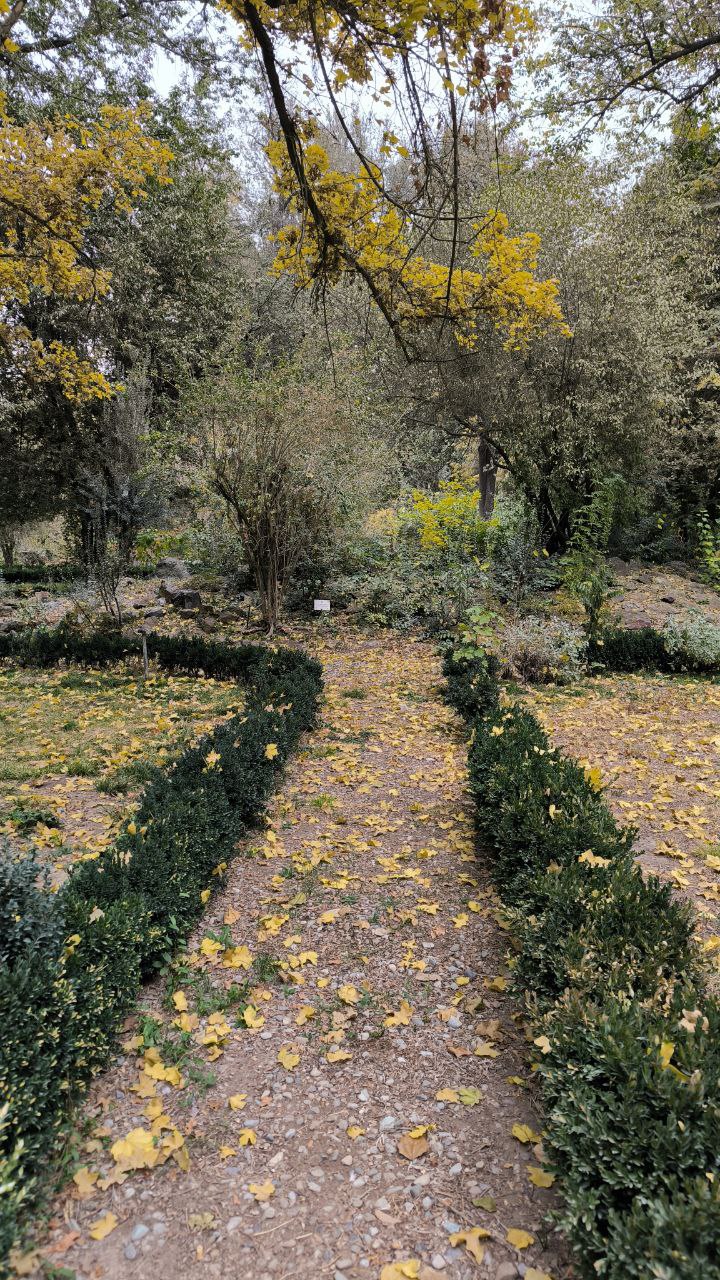 college_of_agriculture_natural_resources_of_university_of_tehran