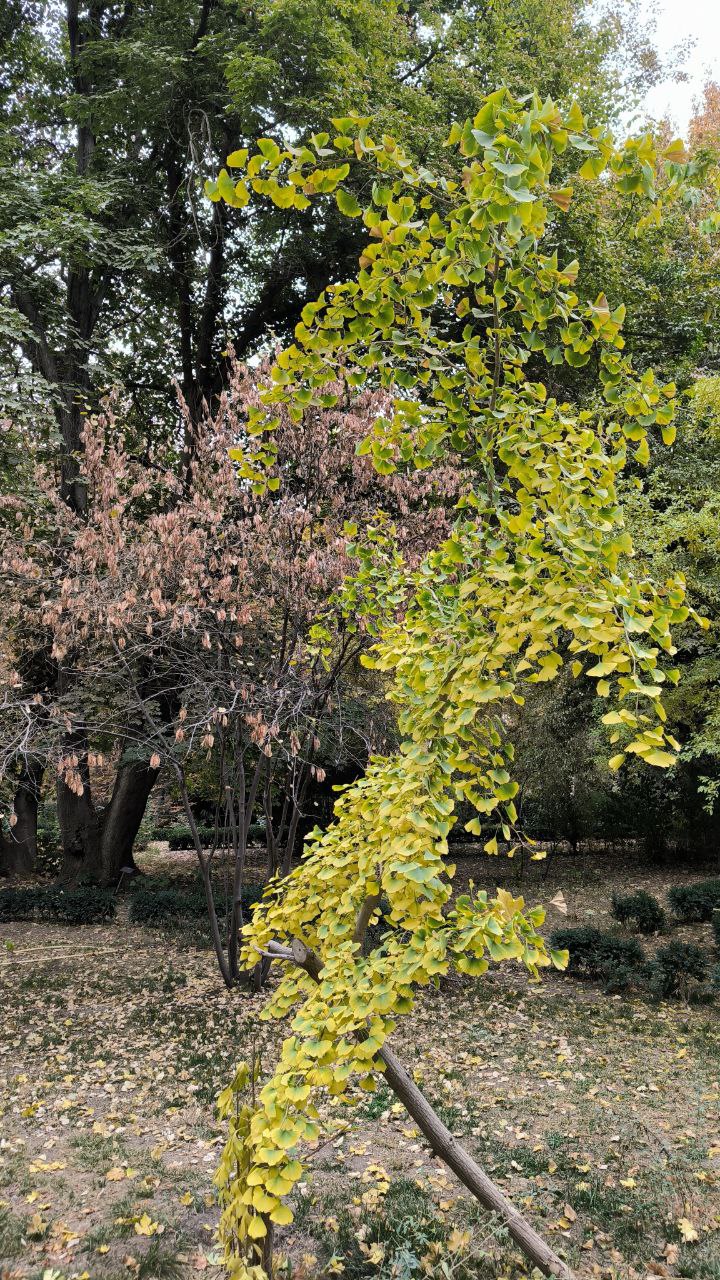 college_of_agriculture_natural_resources_of_university_of_tehran