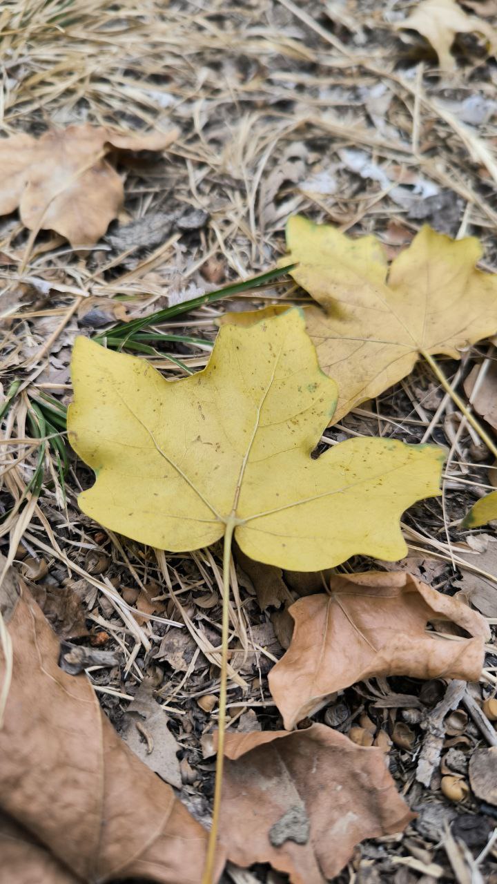 college_of_agriculture_natural_resources_of_university_of_tehran