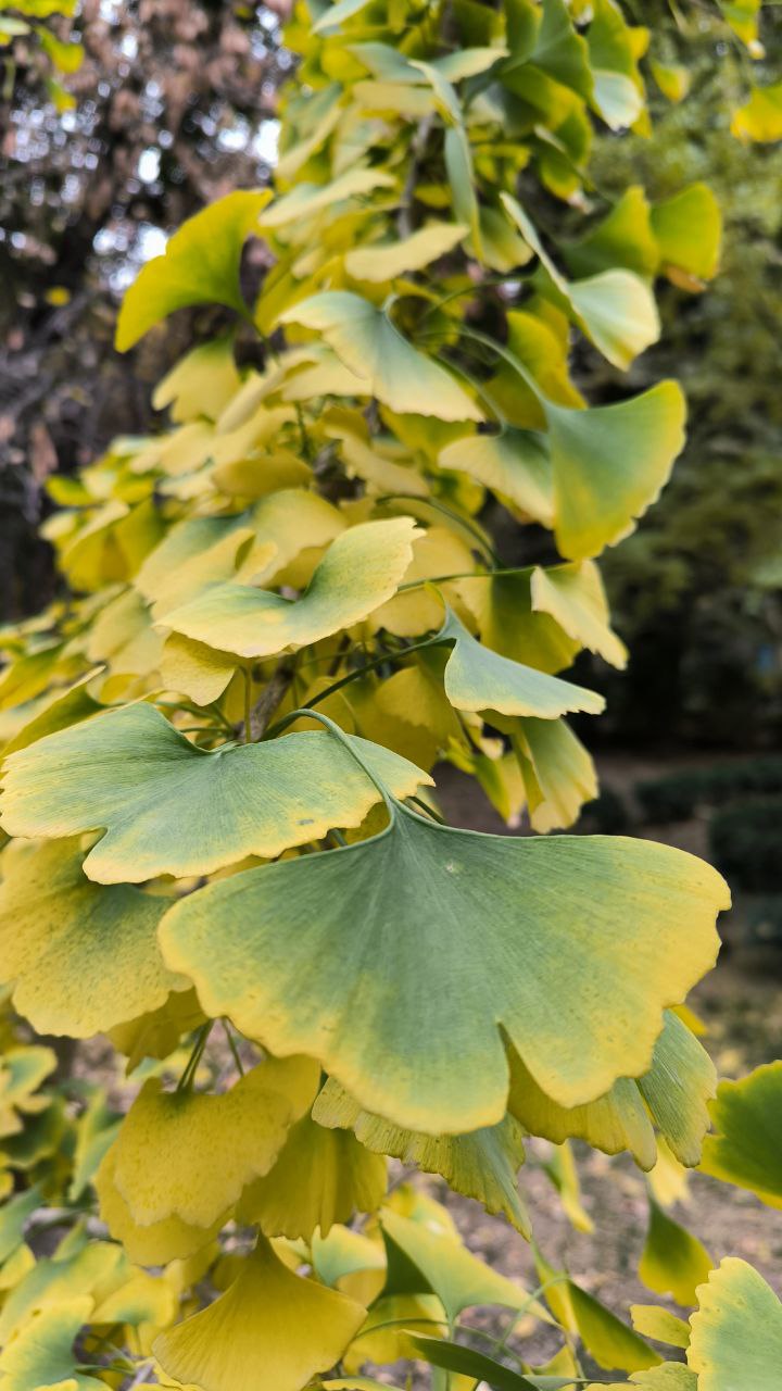 college_of_agriculture_natural_resources_of_university_of_tehran