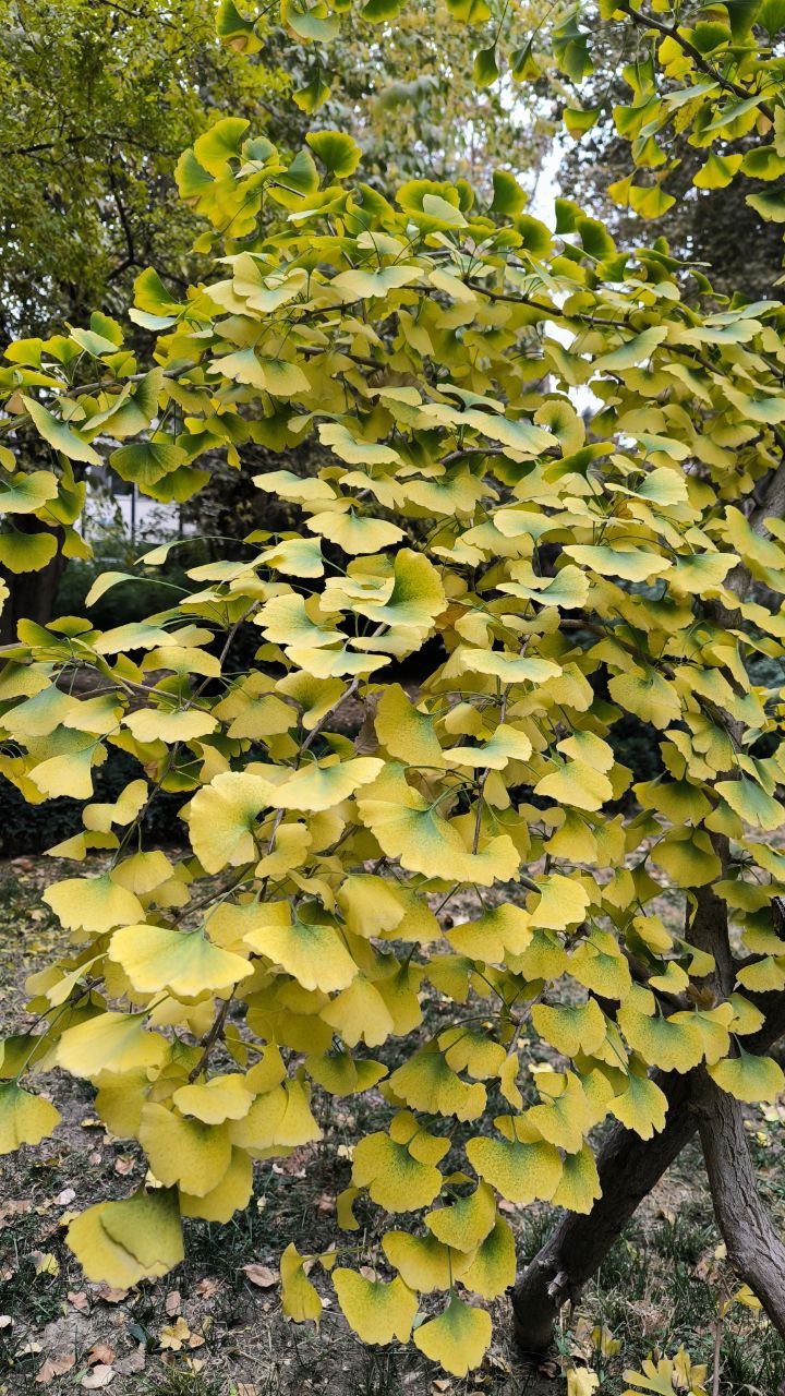 college_of_agriculture_natural_resources_of_university_of_tehran