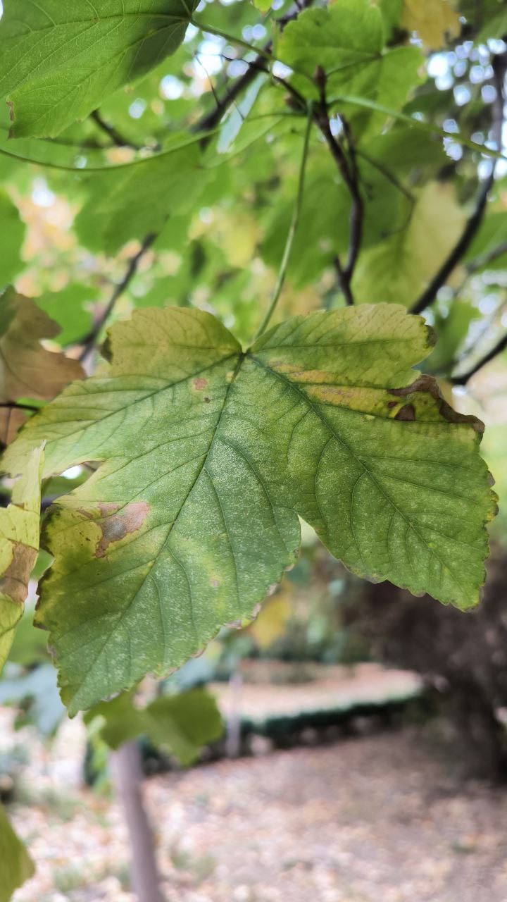 college_of_agriculture_natural_resources_of_university_of_tehran