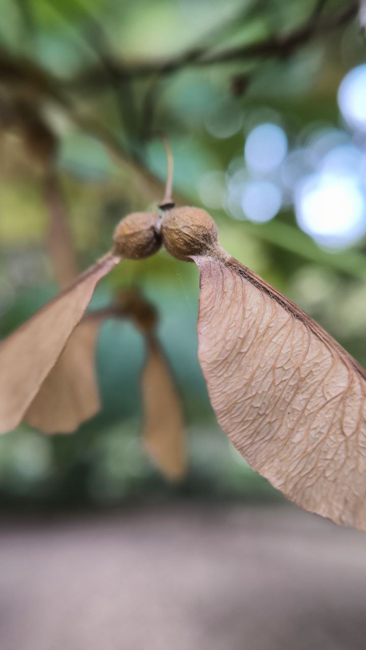 college_of_agriculture_natural_resources_of_university_of_tehran