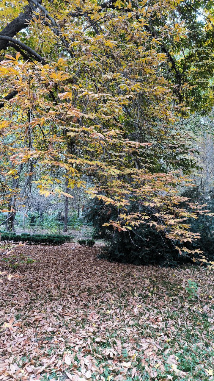 college_of_agriculture_natural_resources_of_university_of_tehran