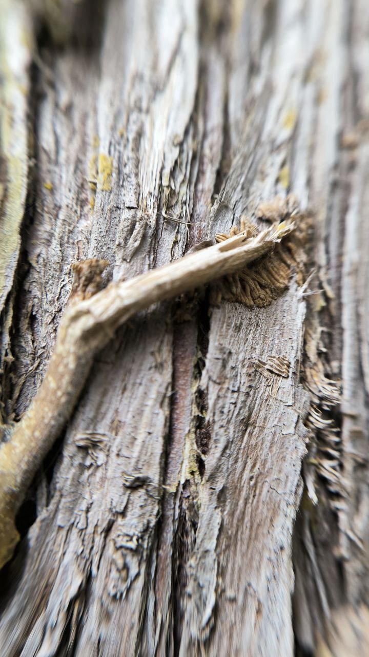 college_of_agriculture_natural_resources_of_university_of_tehran