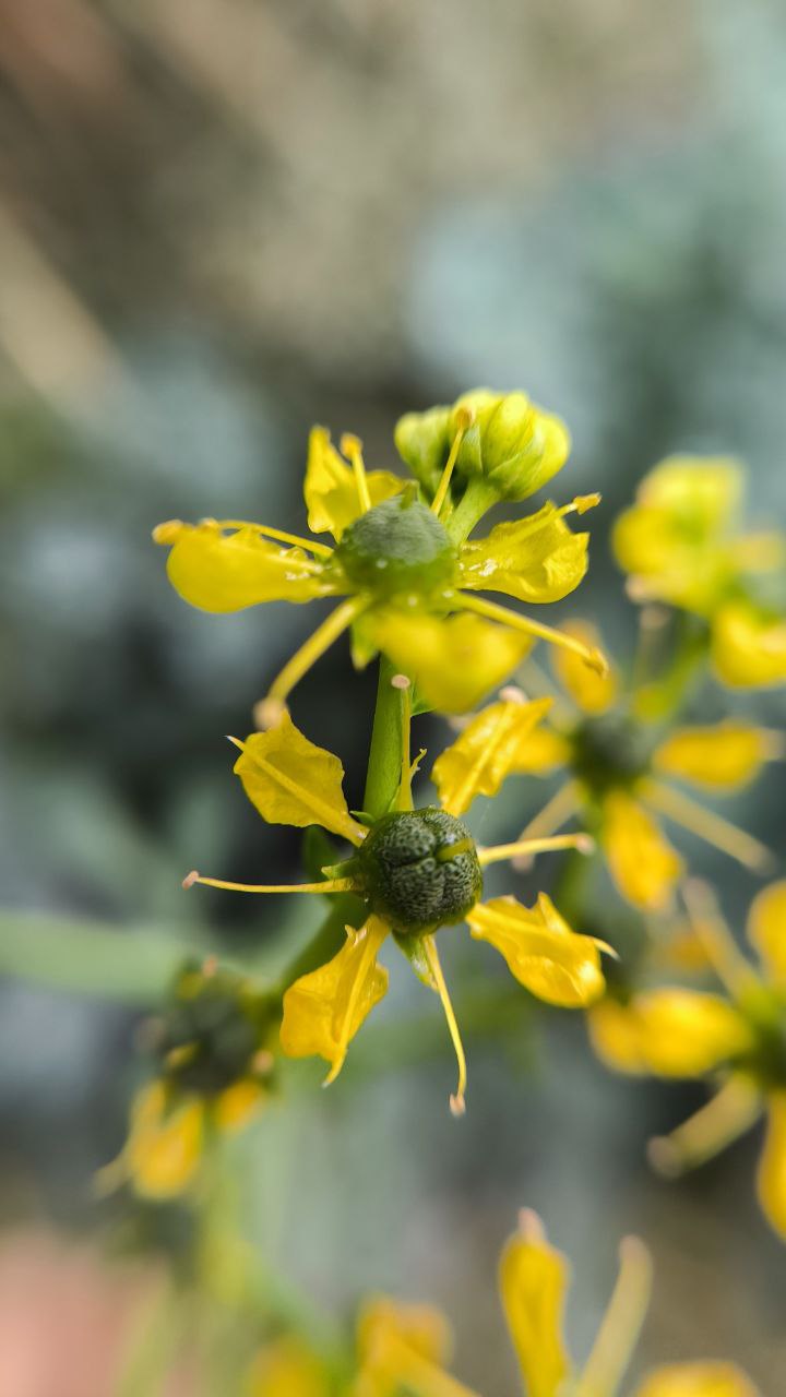 college_of_agriculture_natural_resources_of_university_of_tehran