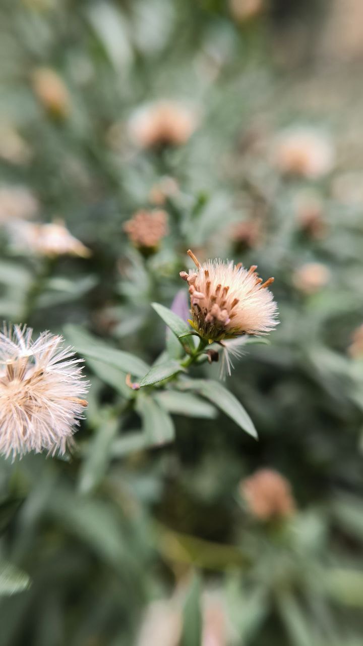 college_of_agriculture_natural_resources_of_university_of_tehran
