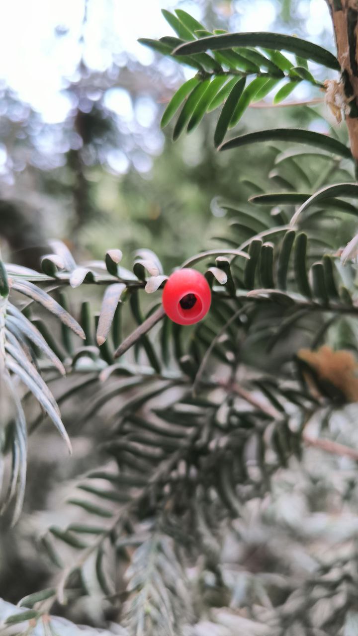 college_of_agriculture_natural_resources_of_university_of_tehran