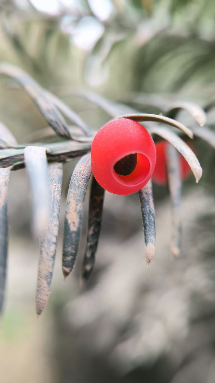 college_of_agriculture_natural_resources_of_university_of_tehran