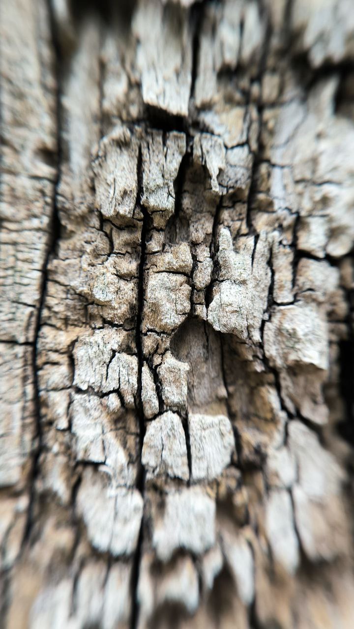 college_of_agriculture_natural_resources_of_university_of_tehran