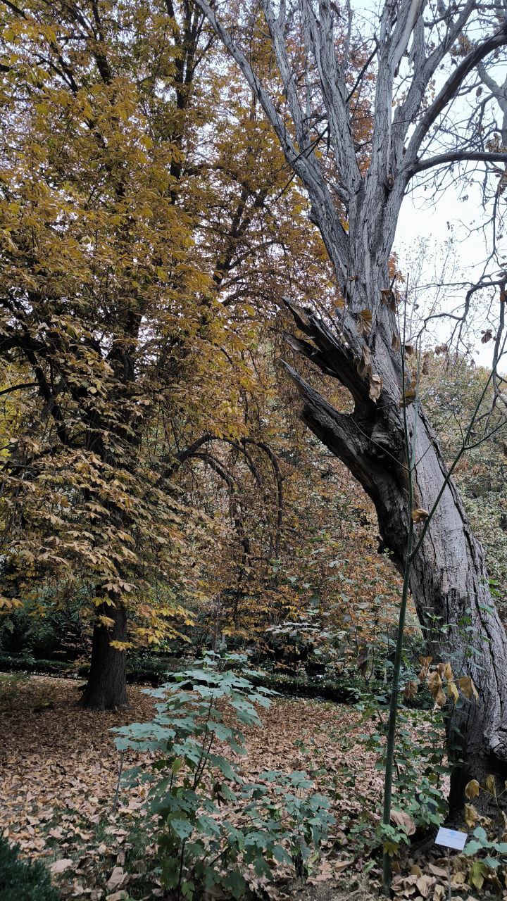 college_of_agriculture_natural_resources_of_university_of_tehran