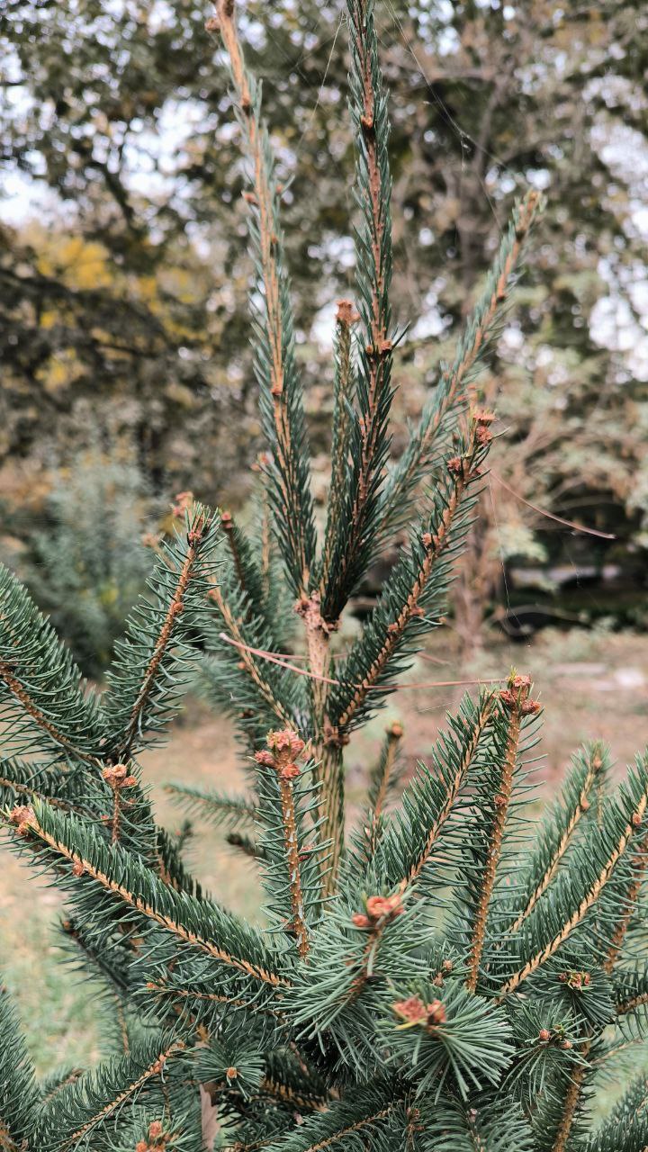 college_of_agriculture_natural_resources_of_university_of_tehran