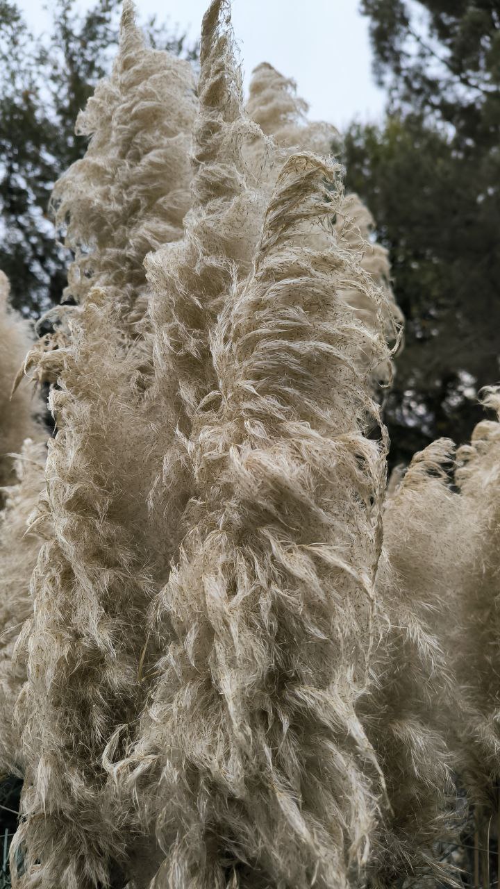 college_of_agriculture_natural_resources_of_university_of_tehran