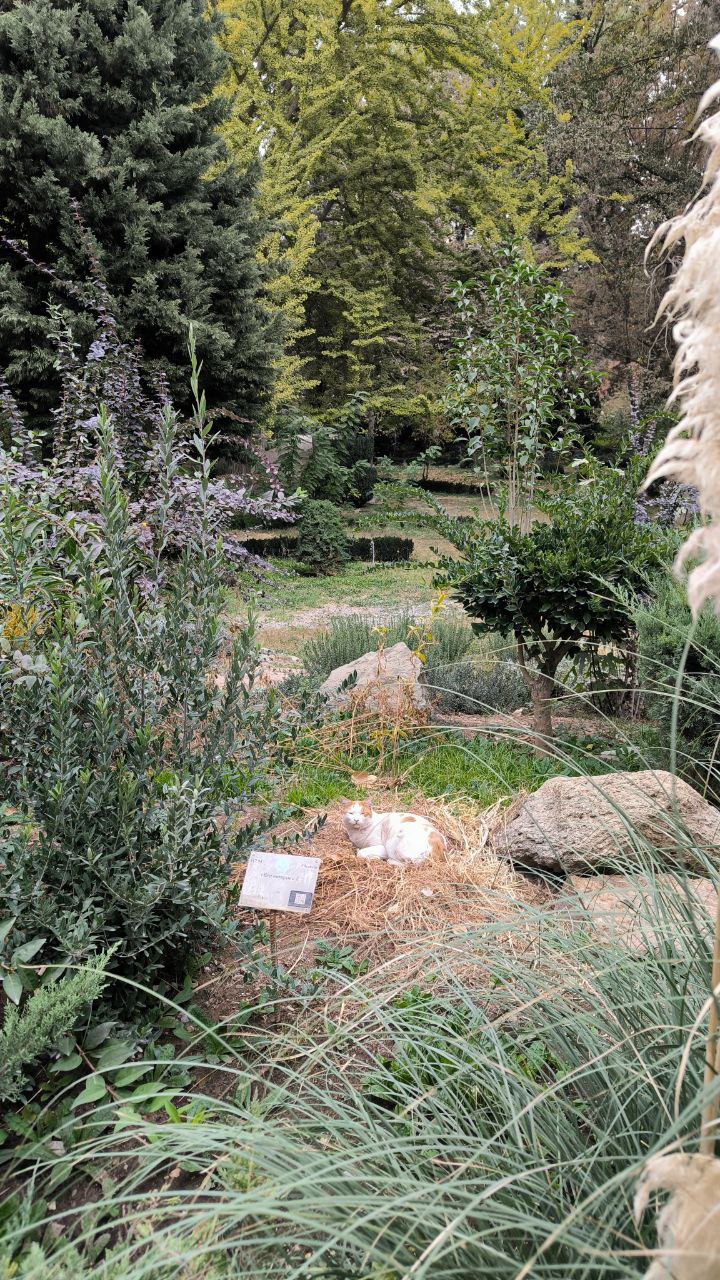 college_of_agriculture_natural_resources_of_university_of_tehran