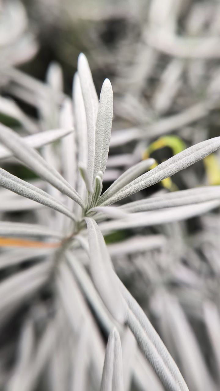 college_of_agriculture_natural_resources_of_university_of_tehran