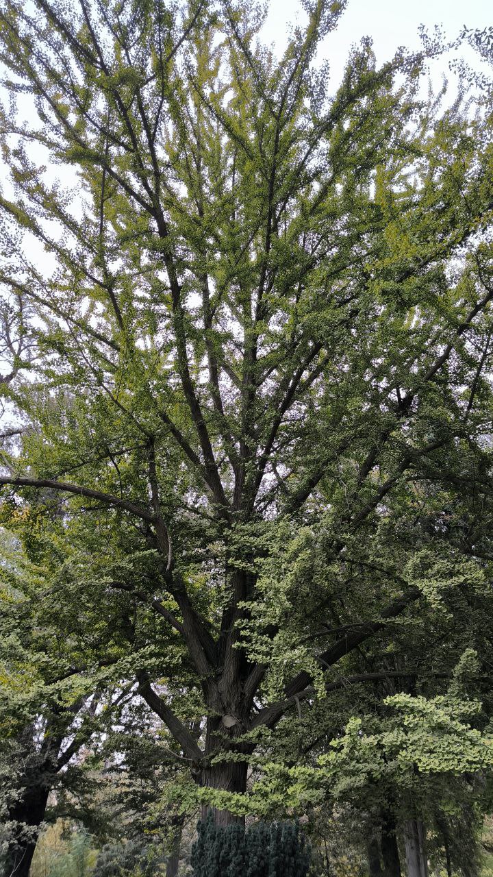 college_of_agriculture_natural_resources_of_university_of_tehran