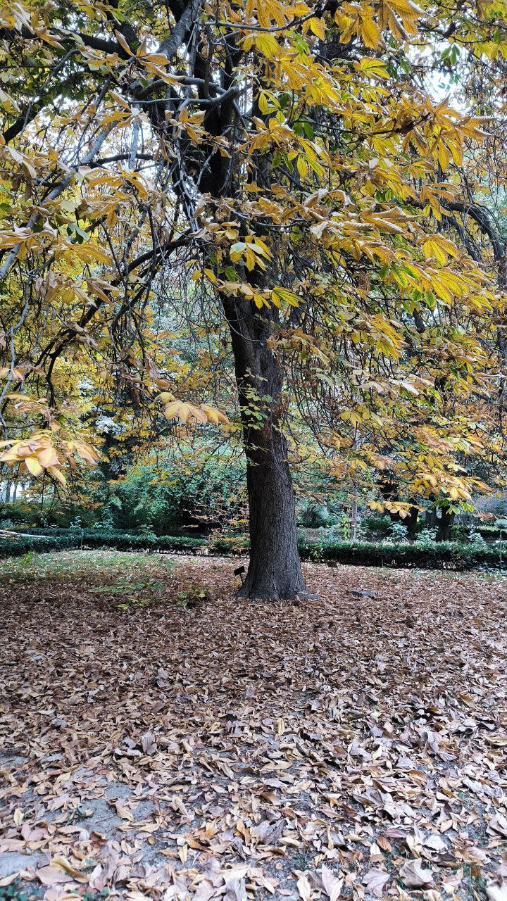 college_of_agriculture_natural_resources_of_university_of_tehran