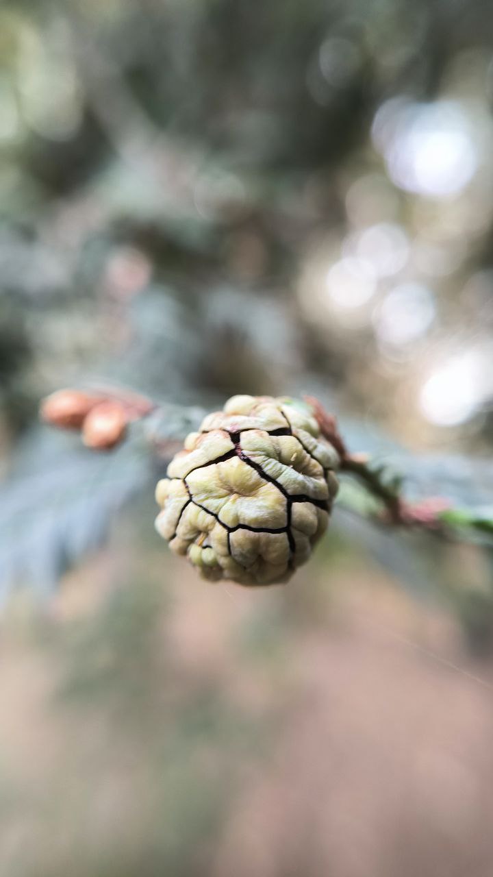 college_of_agriculture_natural_resources_of_university_of_tehran