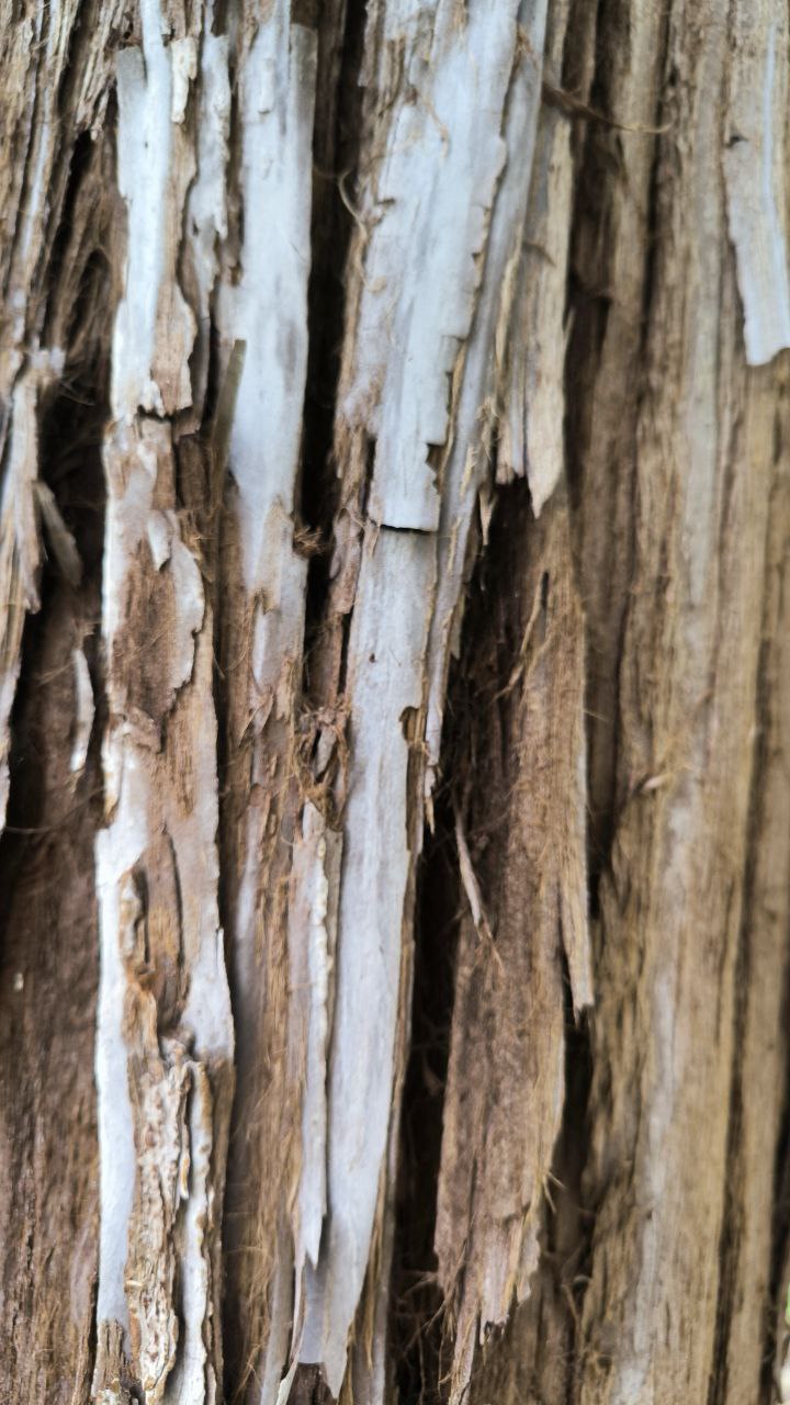 college_of_agriculture_natural_resources_of_university_of_tehran