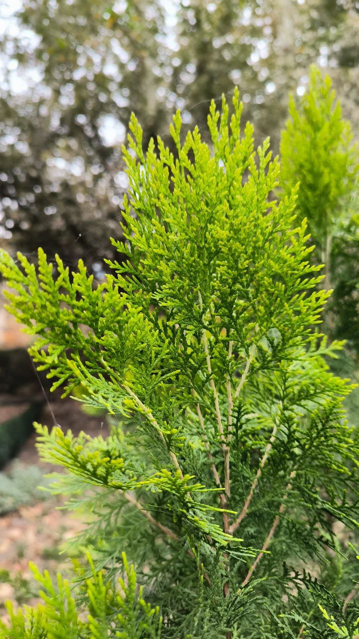 college_of_agriculture_natural_resources_of_university_of_tehran
