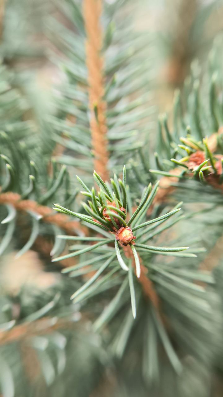 college_of_agriculture_natural_resources_of_university_of_tehran