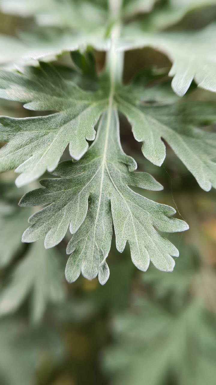 college_of_agriculture_natural_resources_of_university_of_tehran