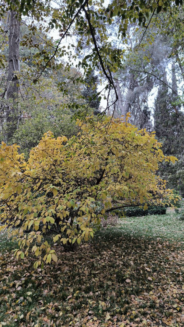 college_of_agriculture_natural_resources_of_university_of_tehran