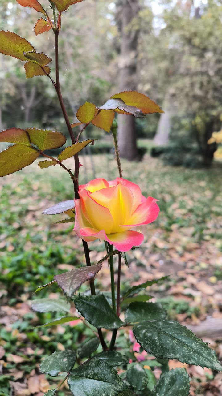 college_of_agriculture_natural_resources_of_university_of_tehran