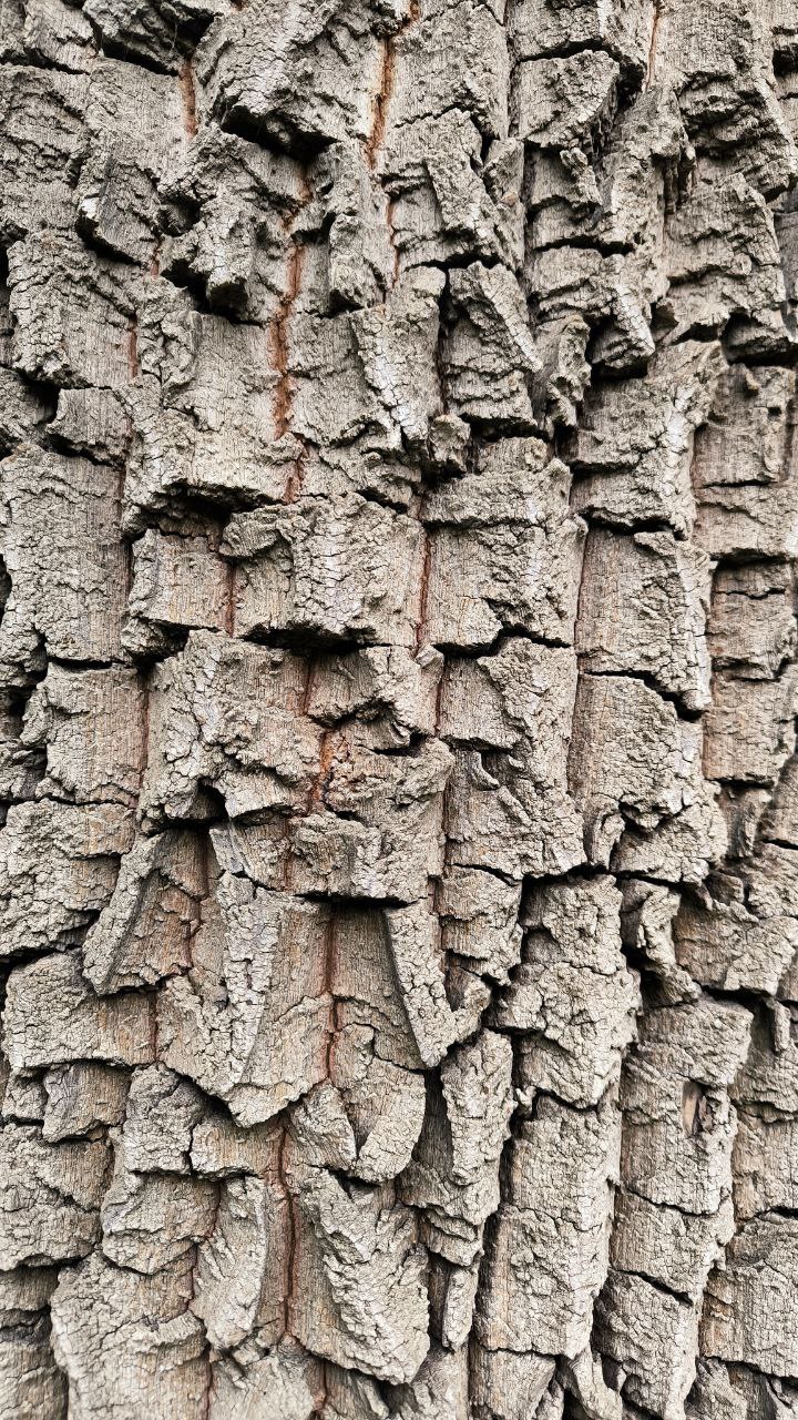 college_of_agriculture_natural_resources_of_university_of_tehran