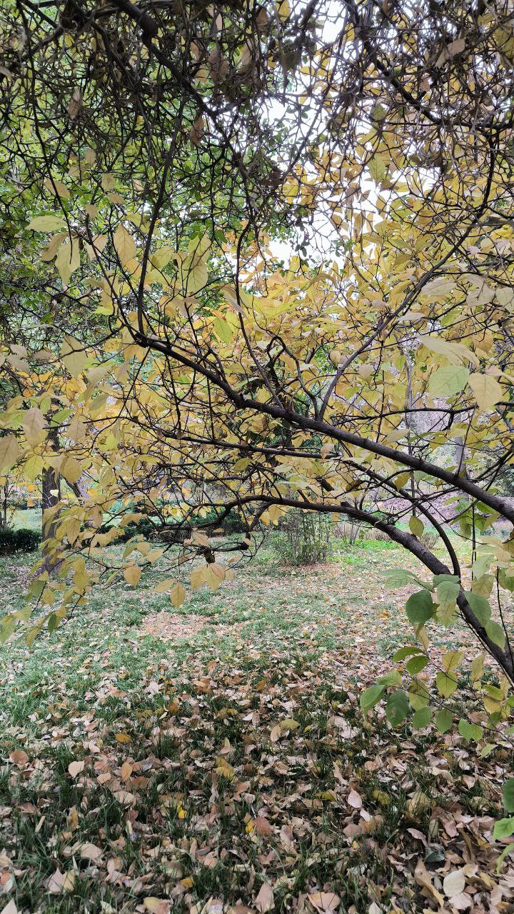 college_of_agriculture_natural_resources_of_university_of_tehran