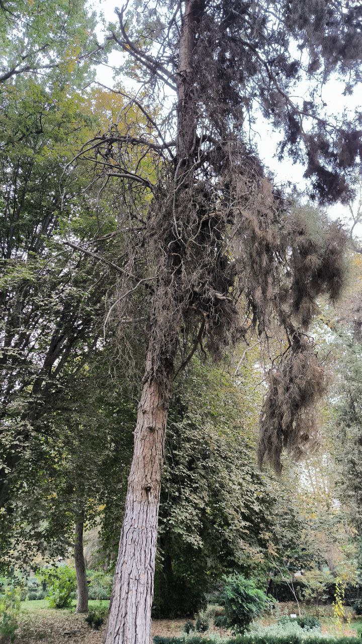 college_of_agriculture_natural_resources_of_university_of_tehran