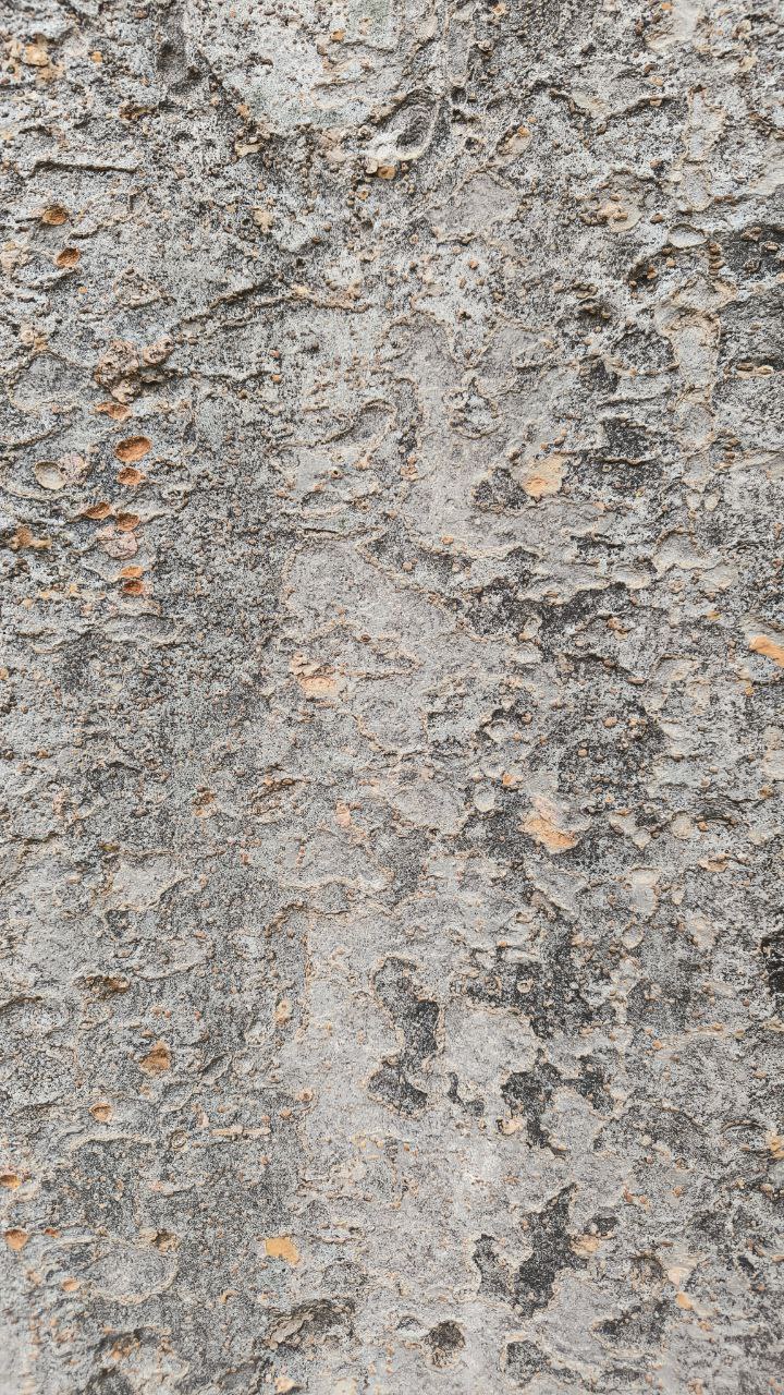 college_of_agriculture_natural_resources_of_university_of_tehran