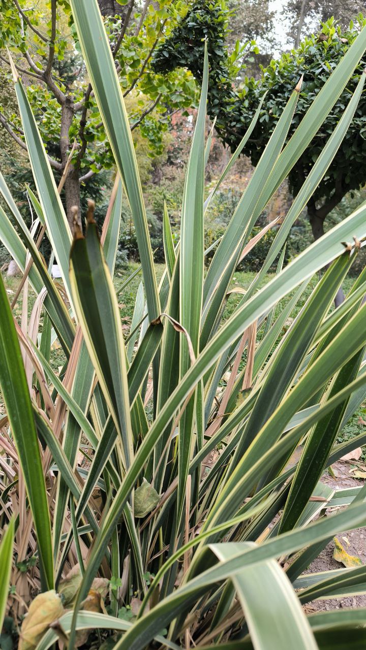 college_of_agriculture_natural_resources_of_university_of_tehran