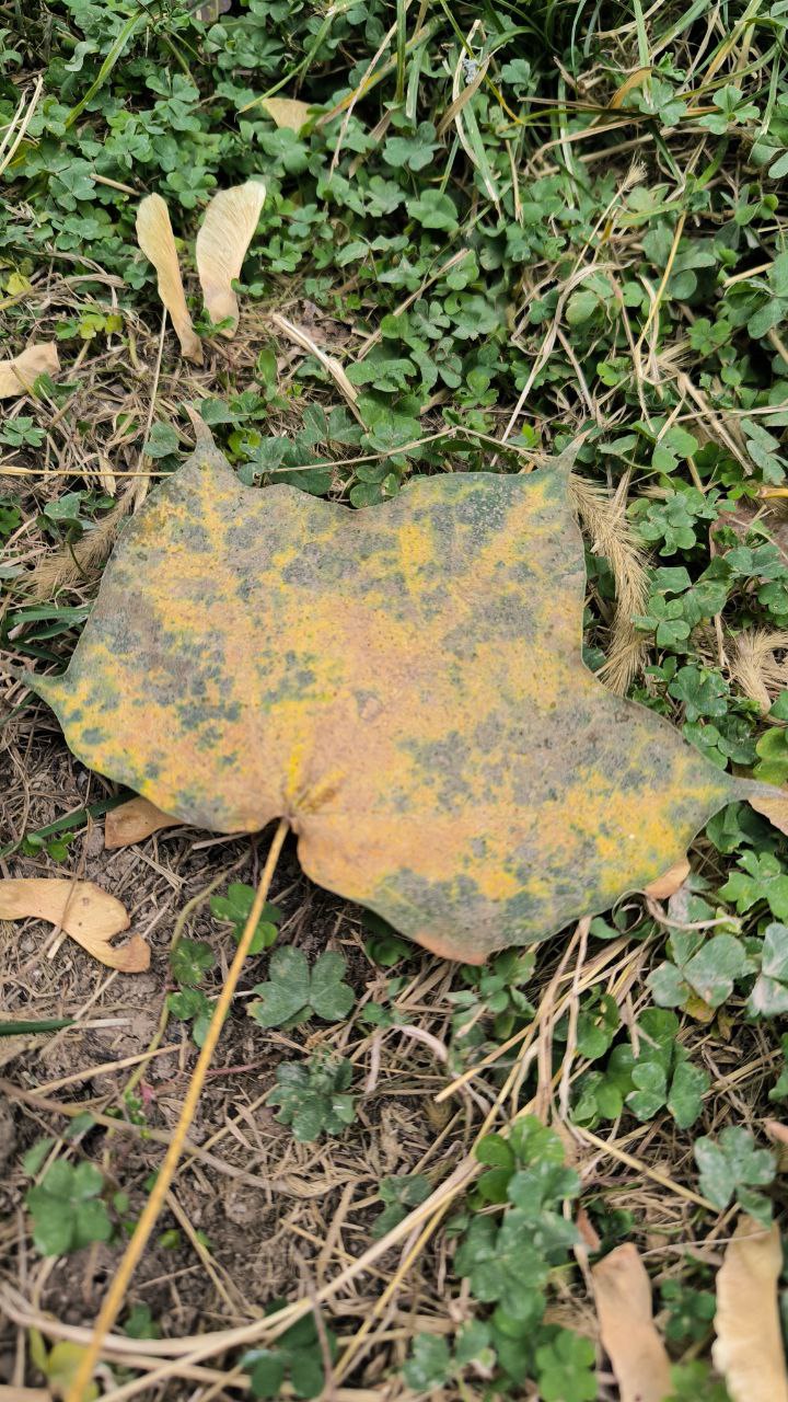 college_of_agriculture_natural_resources_of_university_of_tehran