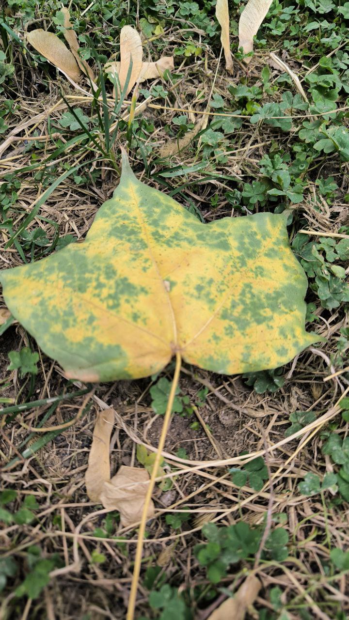 college_of_agriculture_natural_resources_of_university_of_tehran