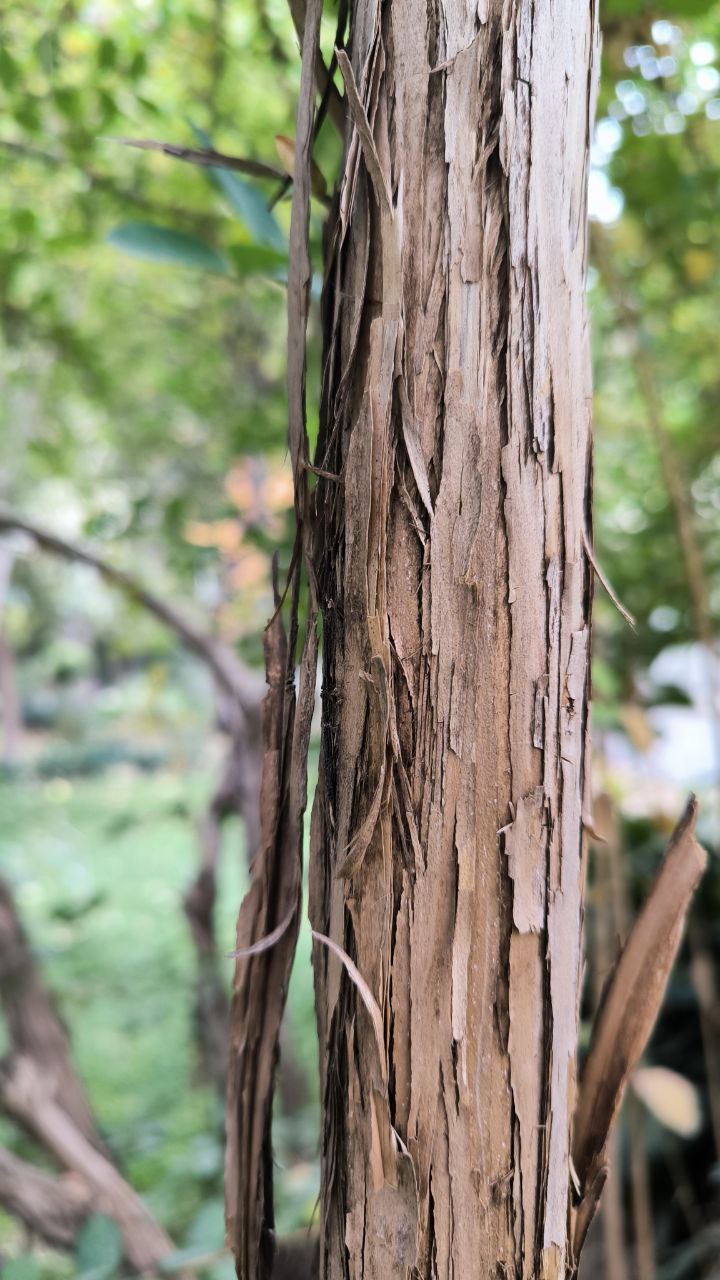 college_of_agriculture_natural_resources_of_university_of_tehran