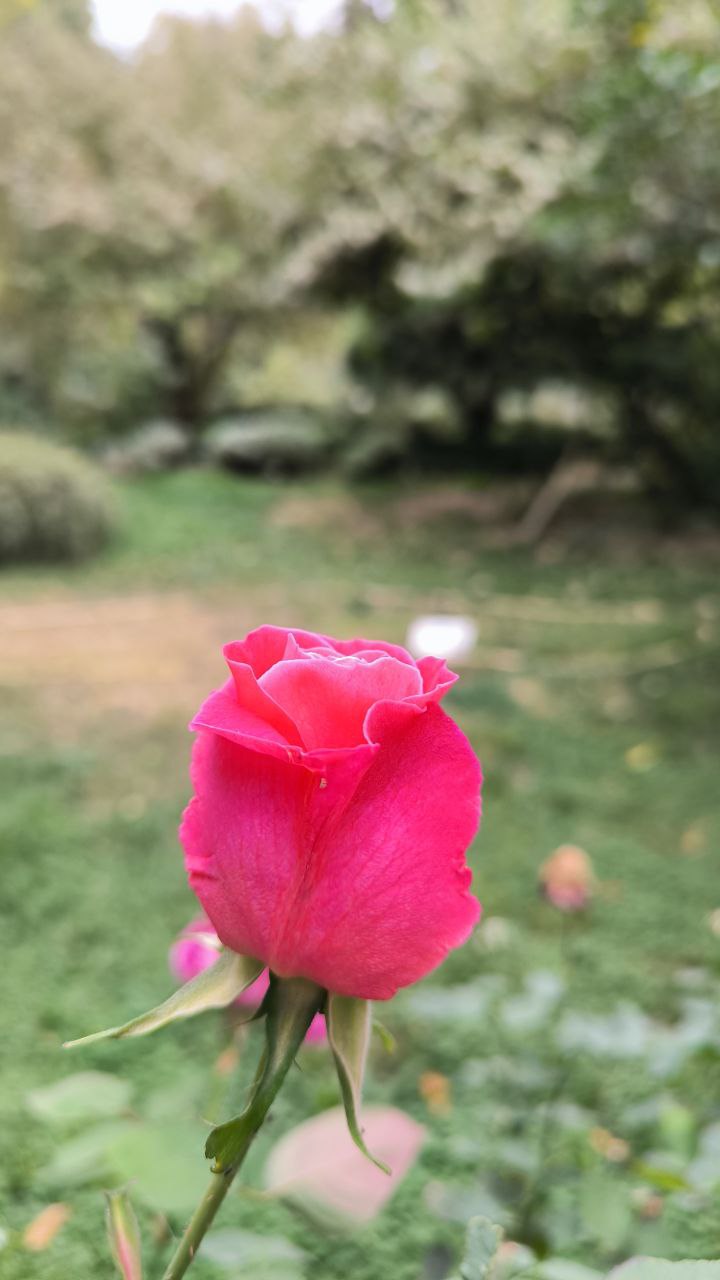 college_of_agriculture_natural_resources_of_university_of_tehran