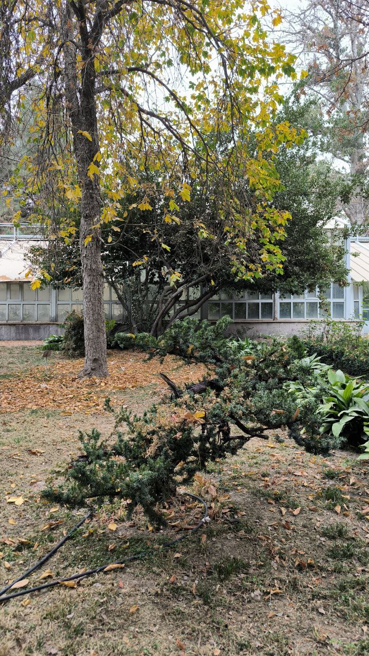 college_of_agriculture_natural_resources_of_university_of_tehran