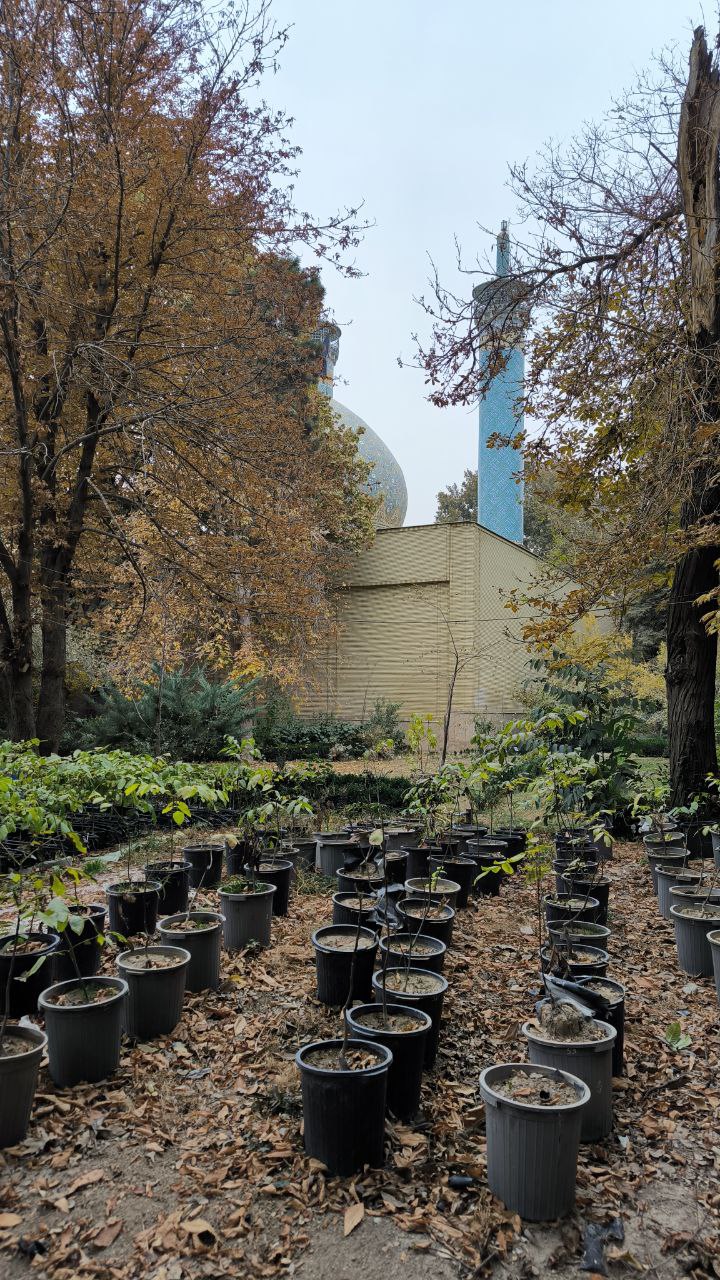 college_of_agriculture_natural_resources_of_university_of_tehran