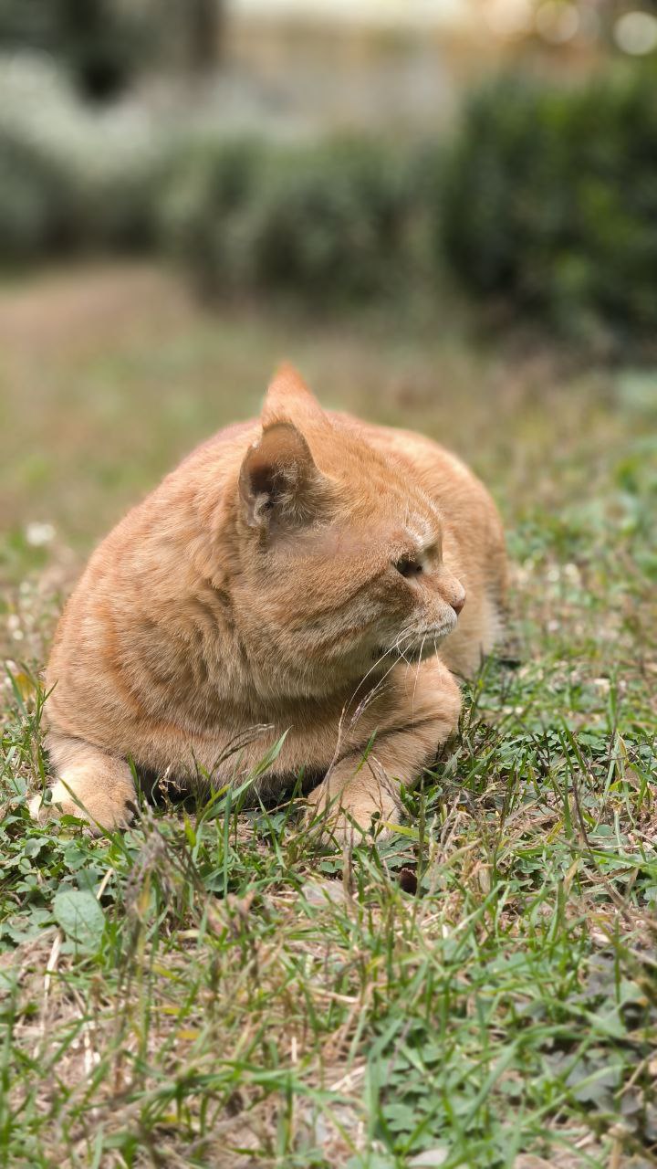 college_of_agriculture_natural_resources_of_university_of_tehran