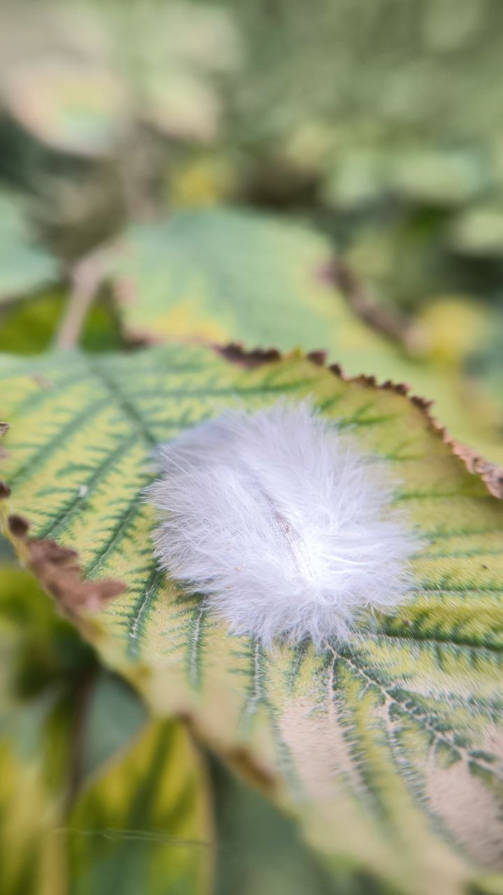 college_of_agriculture_natural_resources_of_university_of_tehran