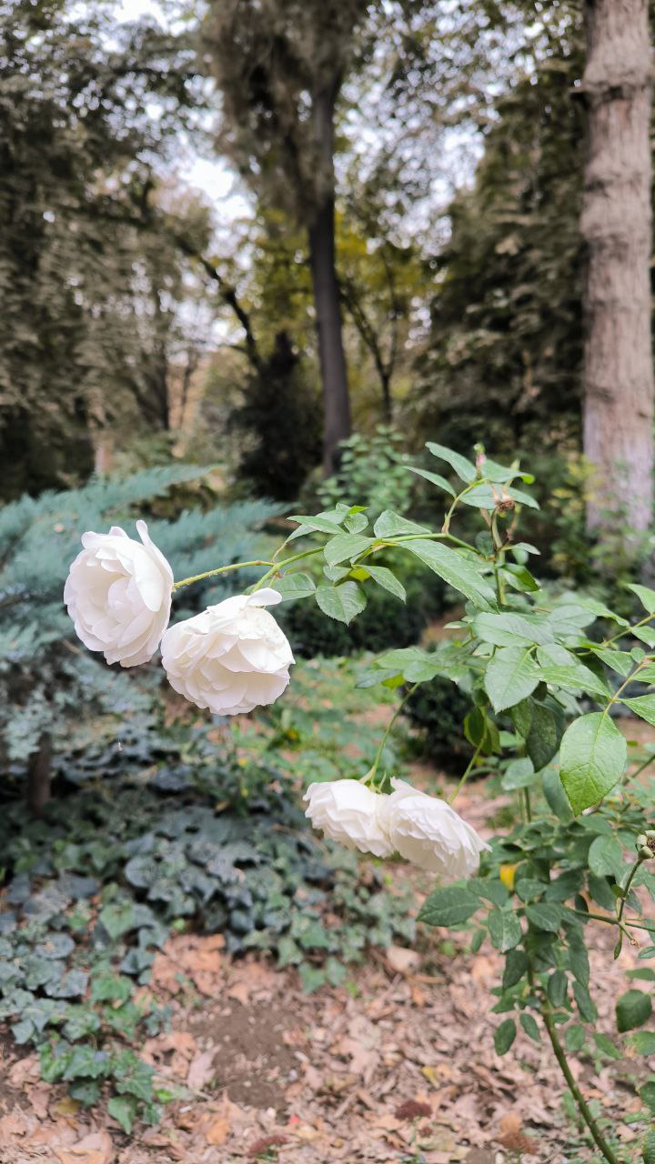 college_of_agriculture_natural_resources_of_university_of_tehran