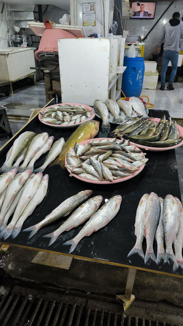 sorkhroud_vozaramahaleh_ranger_station