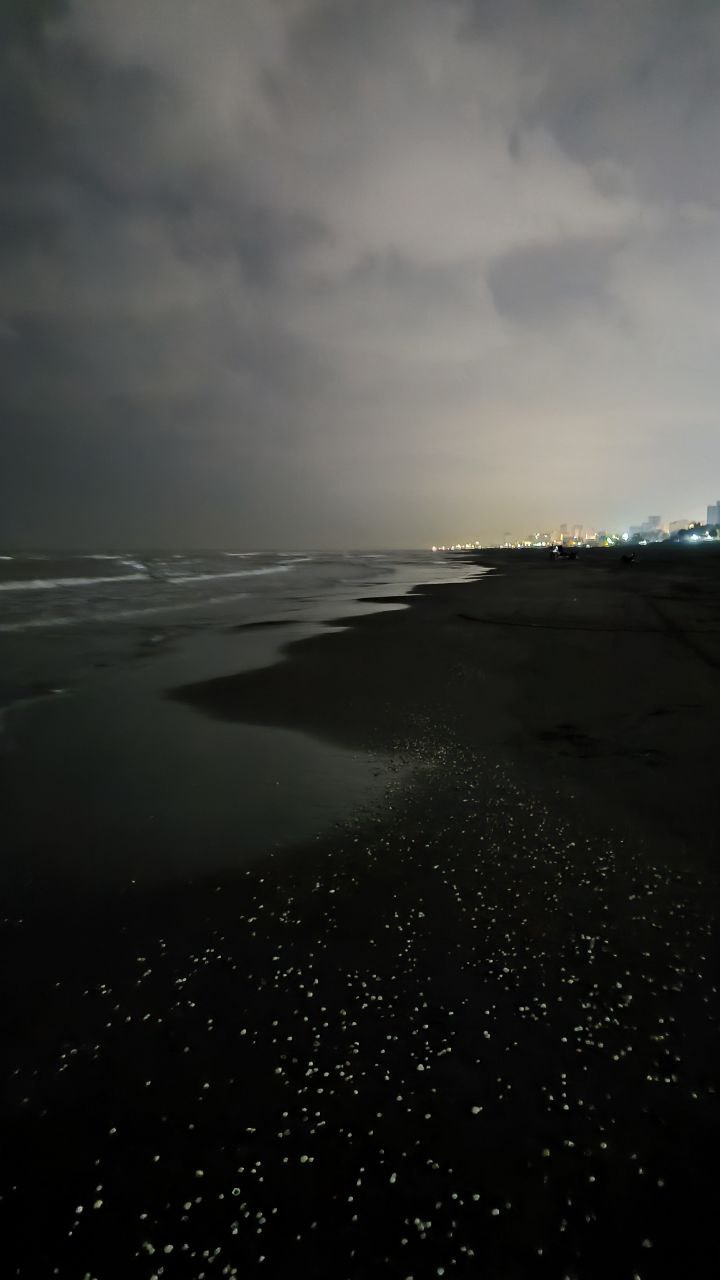 sorkhroud_vozaramahaleh_ranger_station