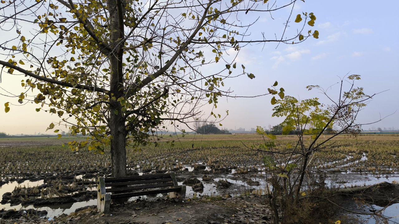 sorkhroud_vozaramahaleh_ranger_station